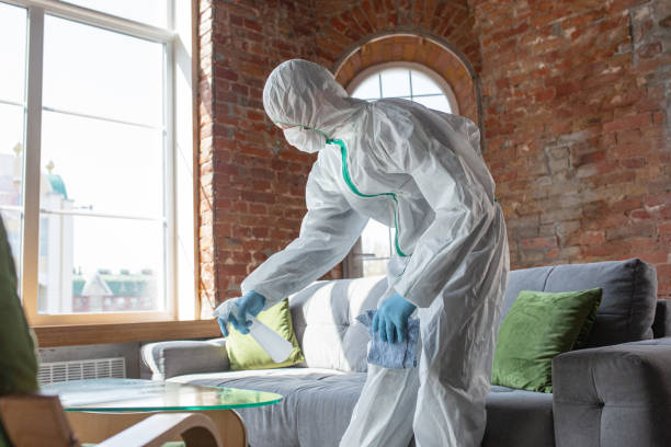  Minier, IL Mold Removal Services Pros